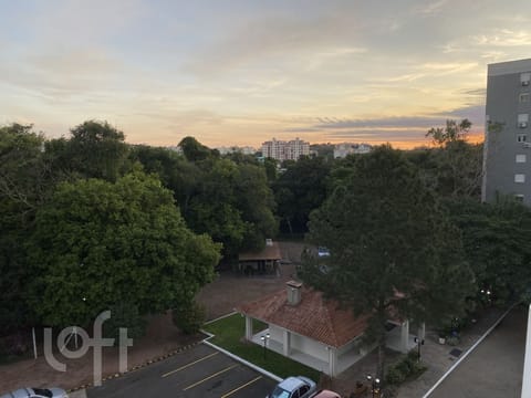 Image 3 - 253247